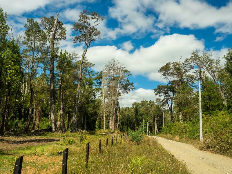 LINDA PARCELA CON BOSQUE DE 6.700M2 A SLO 6KM DE BRAUNAU