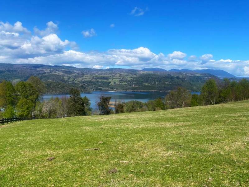 PARCELA CON VISTA LAGOS CALAFQUEN Y PULLINQUE 