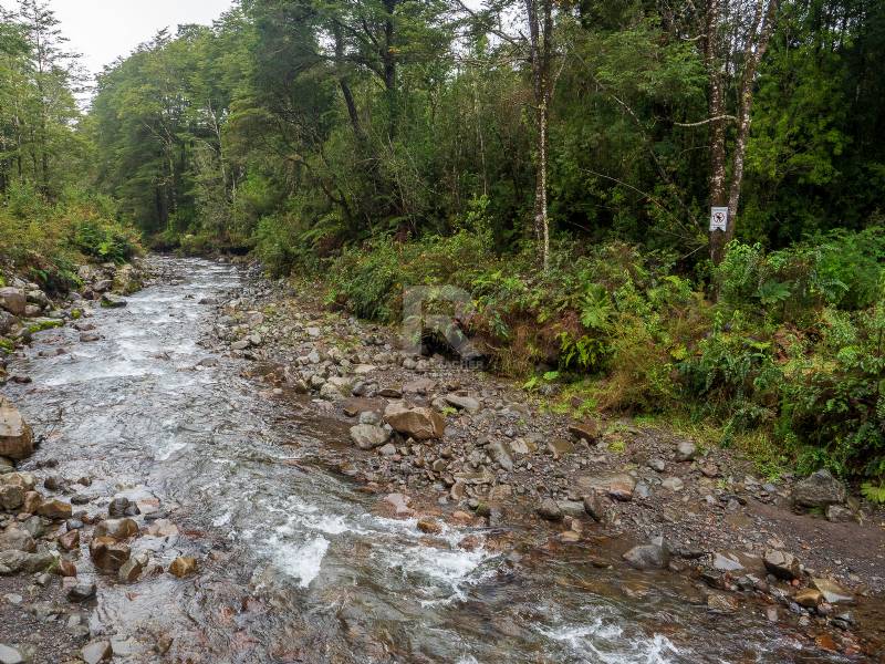 PARCELA CON BOSQUE Y ORILLA DE RIO