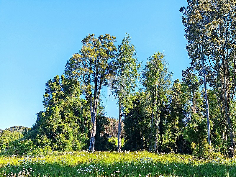 LTIMA PARCELA CON PAMPA Y BOSQUE, CONDOMINIO REFUGIO DE LUZ