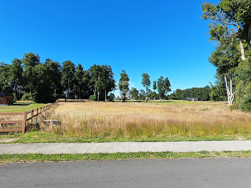 HERMOSA PARCELA CON PRADERA Y BOSQUE EN LOMAS DEL SUR