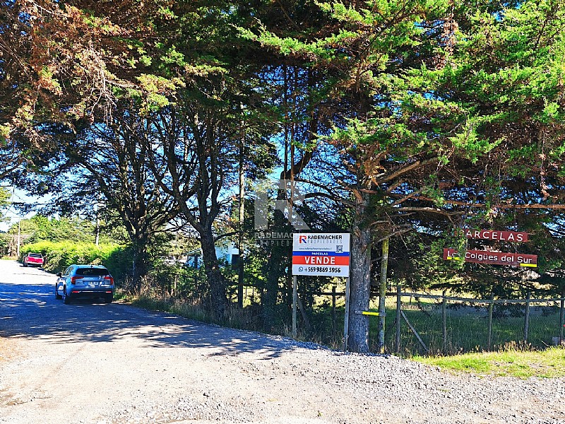 PARCELAS URBANIZADAS CON BOSQUE A 5KM DE BRAUNAU