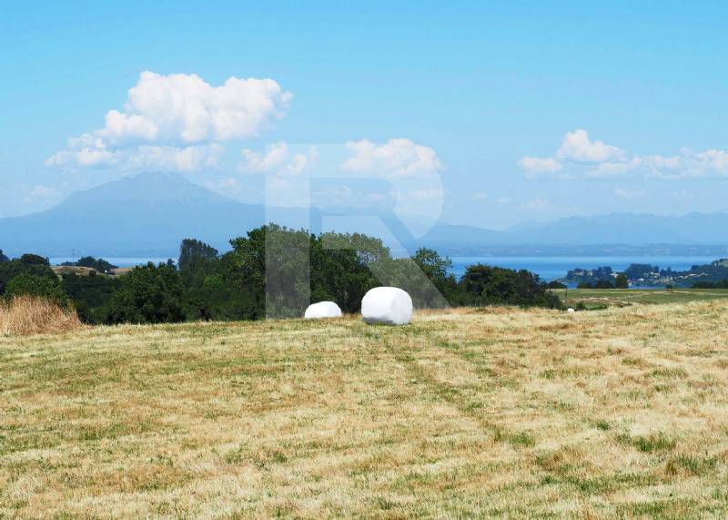 PARCELAS CON VISTA A VOLCANES EN SECTOR TOTORAL.