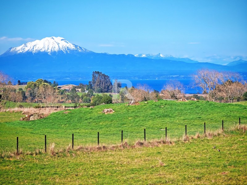 PARCELA SECTOR TOTORAL CON VISTA LAGO Y VOLCANES...    