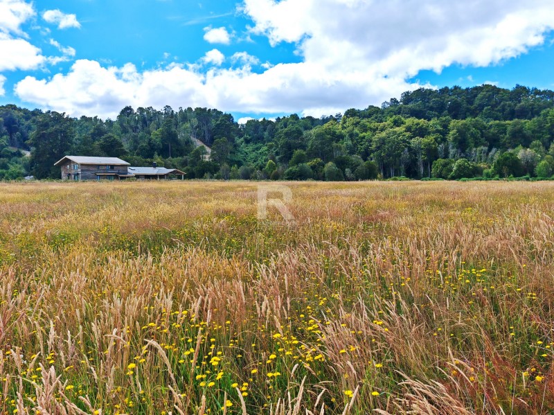 PARCELA EN CAMINO LAS LOMAS...&nbsp; &nbsp; &nbsp; &nbsp; &nbsp; &nbsp; &nbsp; &nbsp; &nbsp; &nbsp; &nbsp; &nbsp; &nbsp; &nbsp; &nbsp; &nbsp; &nbsp; &nbsp; &nbsp; &nbsp; &nbsp; &nbsp; &nbsp; 
