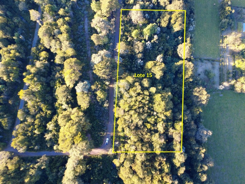 PARCELAS FRENTE AL LAGO CON PLAYA. VISTA VOLC�N OSORNO