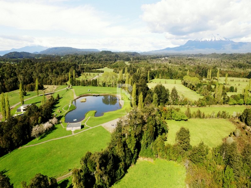PARCELA CON PRADERA Y BOSQUE EN CONDOMINIO IDANMAPU
