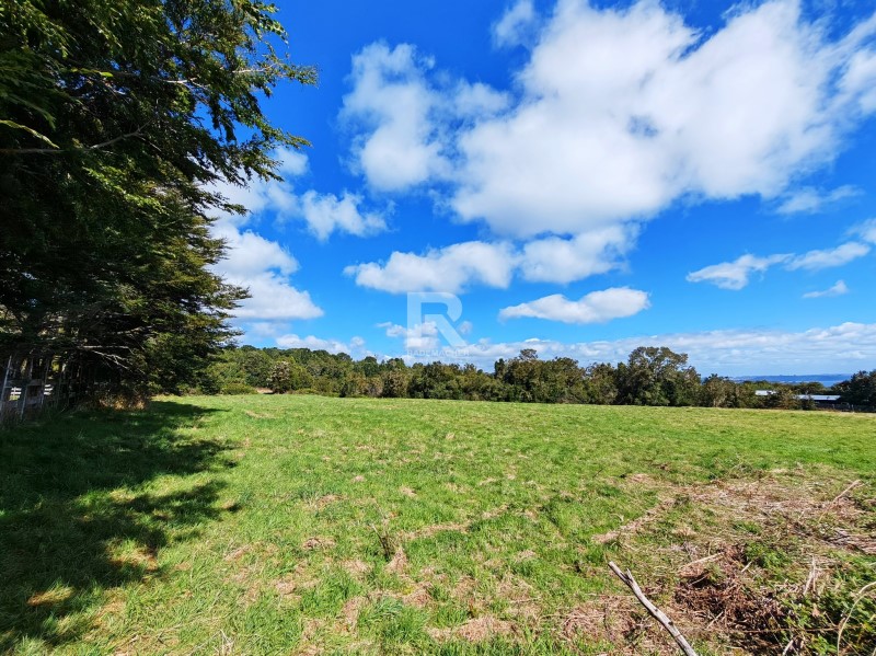 PARCELA CON VISTA LAGO Y VOLC�N EN LOS ARRAYANES...&nbsp; &nbsp; 