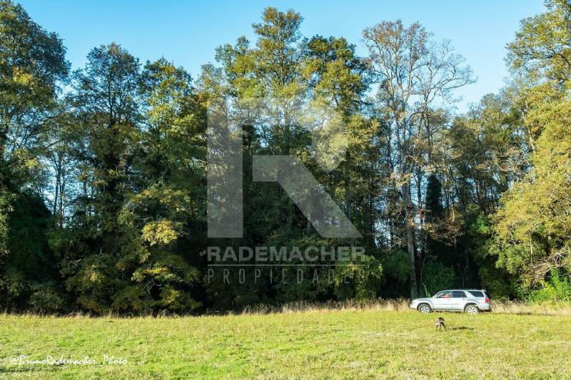 PRECIOSO CAMPO DE 11HA CON RIO Y LAGUNA, SECTOR CO�ICO