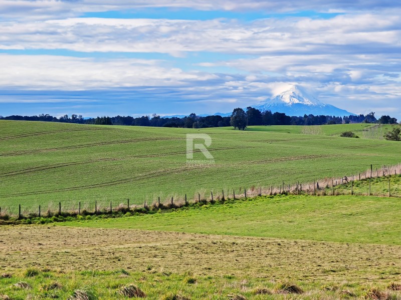 PARCELA VISTA VOLCANES  CERCANA A NUEVA BRAUNAU...&nbsp; &nbsp; &nbsp; 