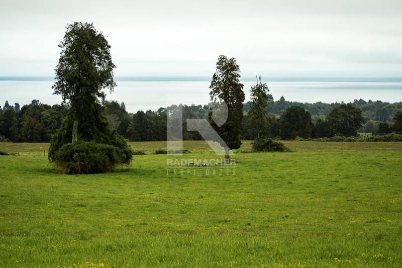 CAMPO DE 28HA EN CASCADAS